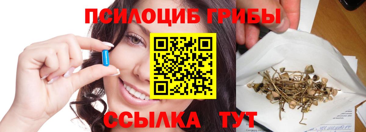 Галлюциногенные грибы прущие грибы  Галлюциногенные грибы Magic Shrooms  Вход с VPN  Тельмана 